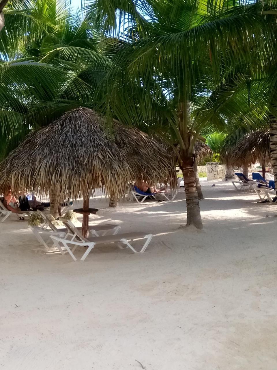 Apartamentos Y Habitaciones Sol Dominicus Solo Adultos La Laguna Eksteriør billede